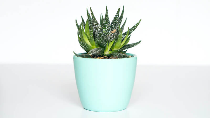 طراحی فروشگاه اینترنتی حرفه‌ای